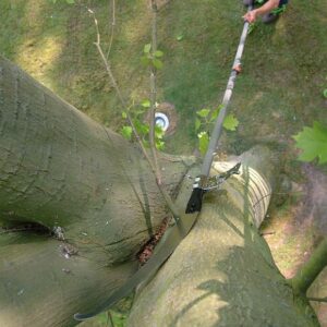 117-KSI017739N_04_web