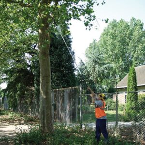 117-KSI017739N_05_web