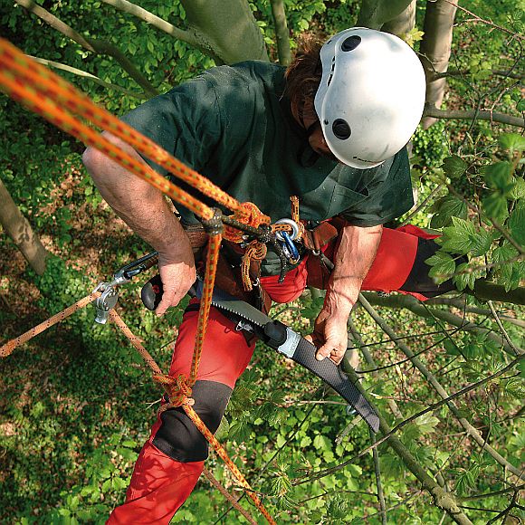 117-KSI327039_05_web