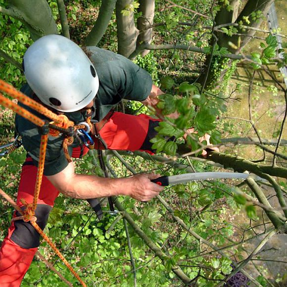 117-KSI327039_06_web