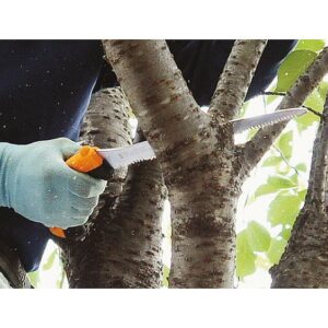 117-KSI345220_05_web