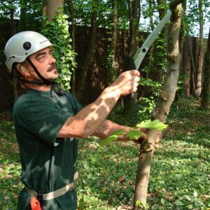 117-KSI511021_08_web