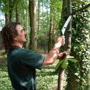 117-KSI511021_09_web