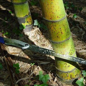 117-KSI635236_04_web