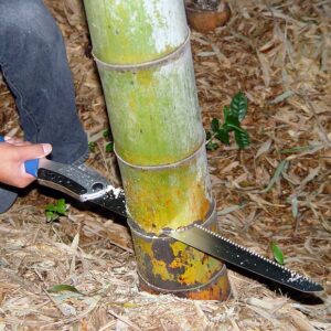 117-KSI635236_05_web