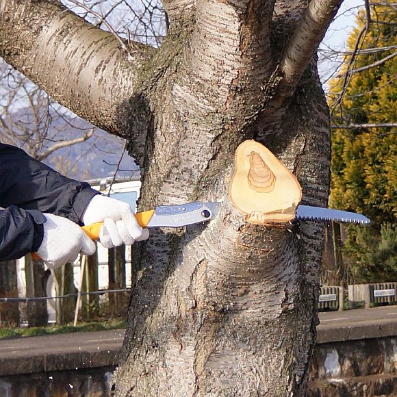 117-KSI635636_02_web