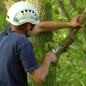 117-KSI639036_07_web