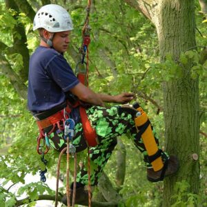 117-KSI639036_09_web